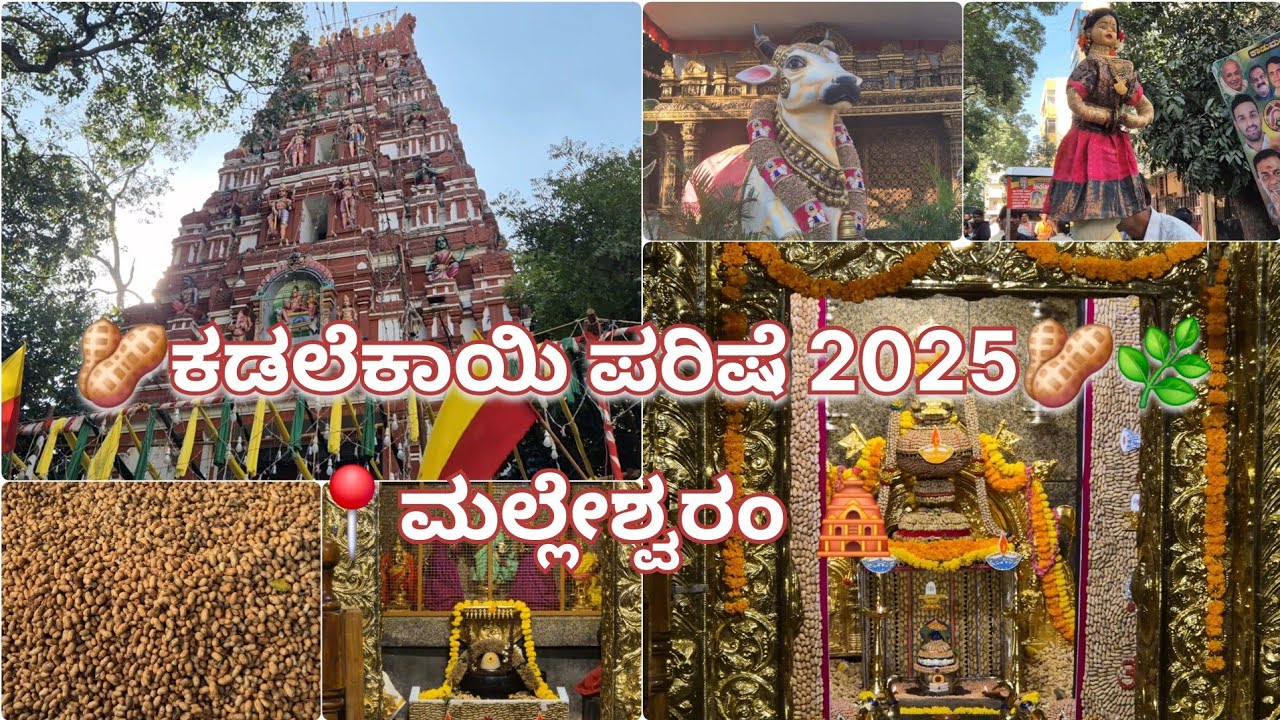 🥜Malleshwaram ಕಡಲೆಕಾಯಿ ಪರಿಷೆ 2025 🥜✨🌿|📍ಮಲ್ಲೇಶ್ವರಂ | Varada Stories
