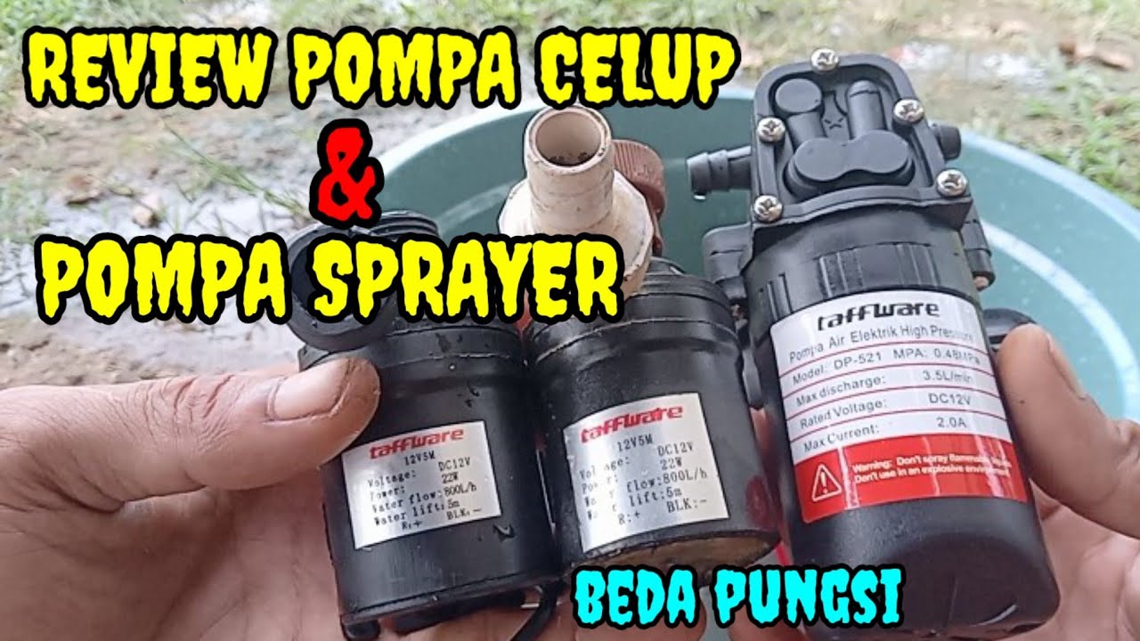 review pompa celup aquarium & sprayer elektrik