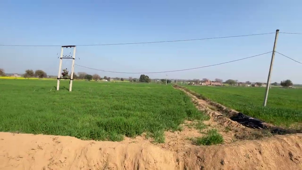 26 बीघा जमीन बिकाऊ है 10 कमांड ज़मीन है सुरतगढ तहसील में है चौधरी प्रोपर्टी डीलर 6378331712