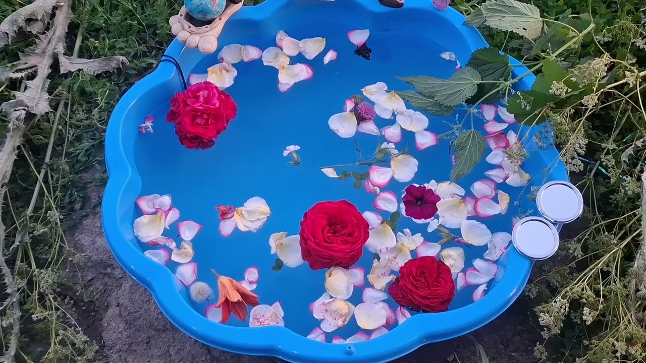 Закрываем порталы и доступы нечисти к нам, чистим от кражи начинаний и будущего!!!🤩😘