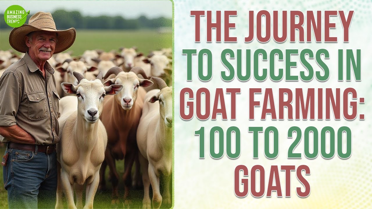 From 100 Goats to 2000: The Journey to Success in Goat Farming