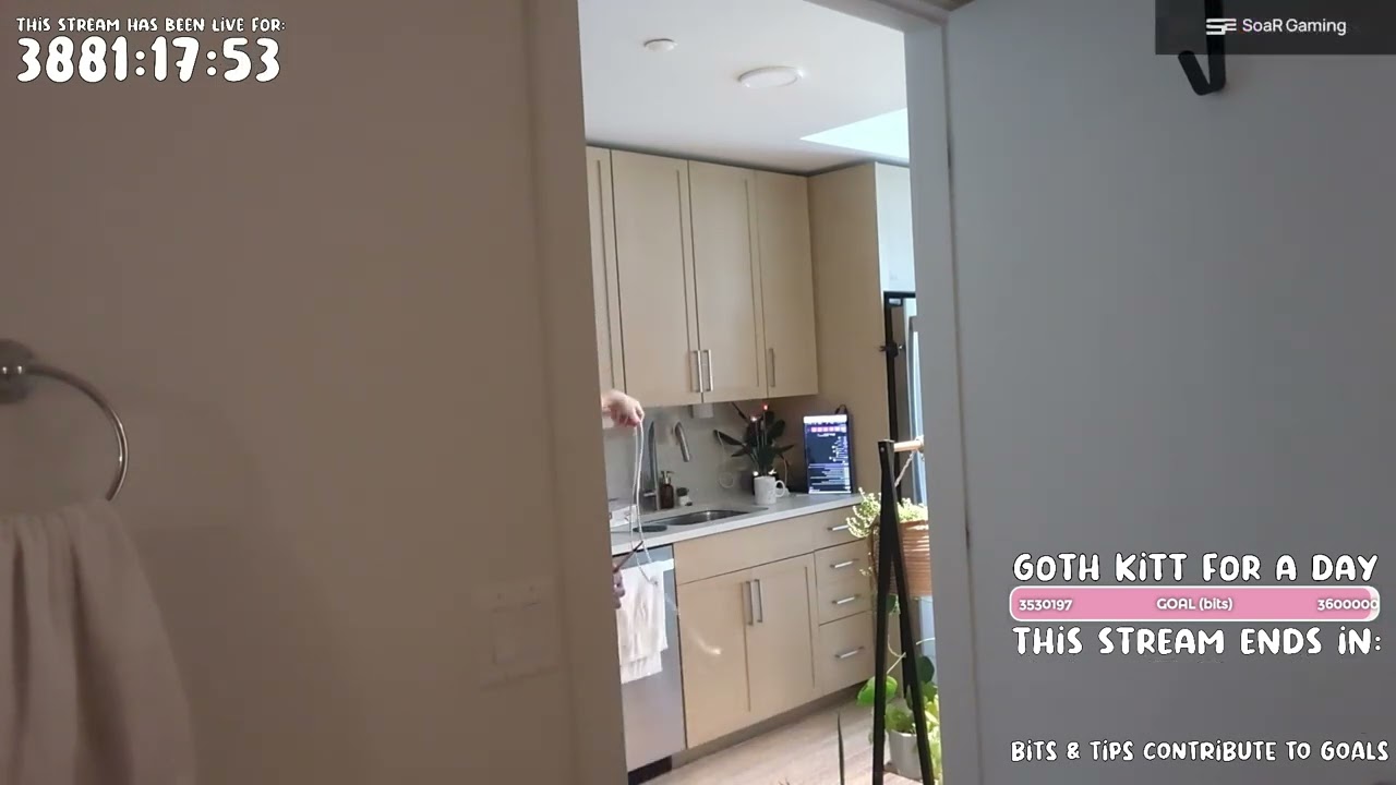 Nyuu places with string