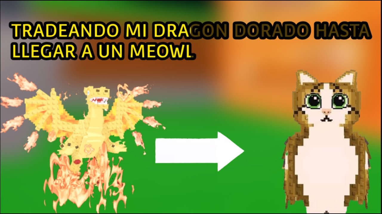 TRADEANDO MI DRAGON HASTA LLEGAR A UN MEOWL