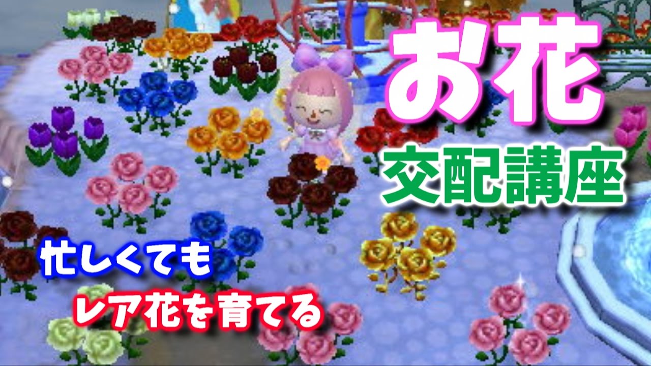 【とび森女性実況#番外編】お花の交配講座【レイジの草むしり】