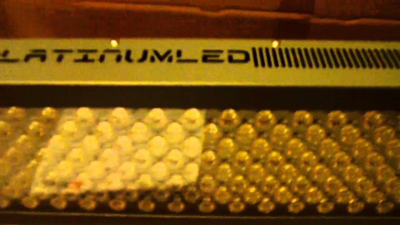 PLATINUM LED P-600 12 band spectrum  PREVIEW & OPENING