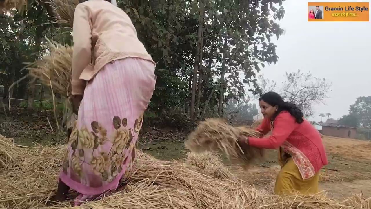 धान का मिसाइ मशीन से 