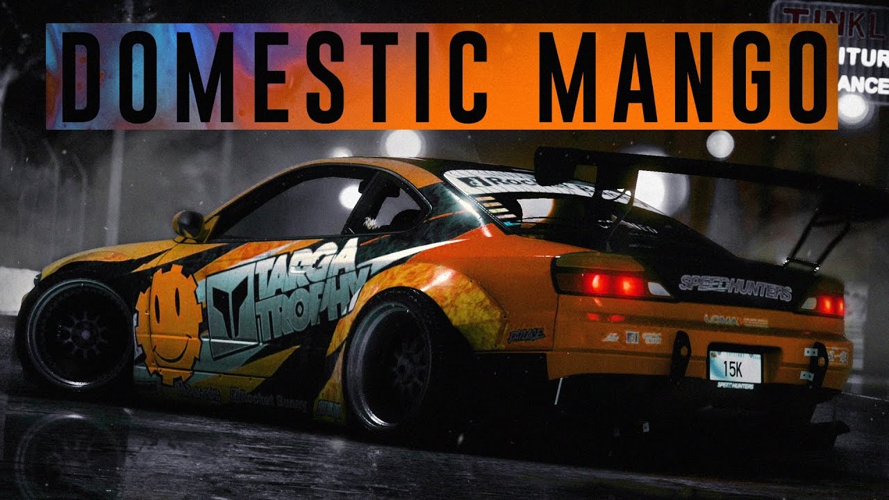 DOMESTICMANGO'S SILVIA / NEED FOR SPEED