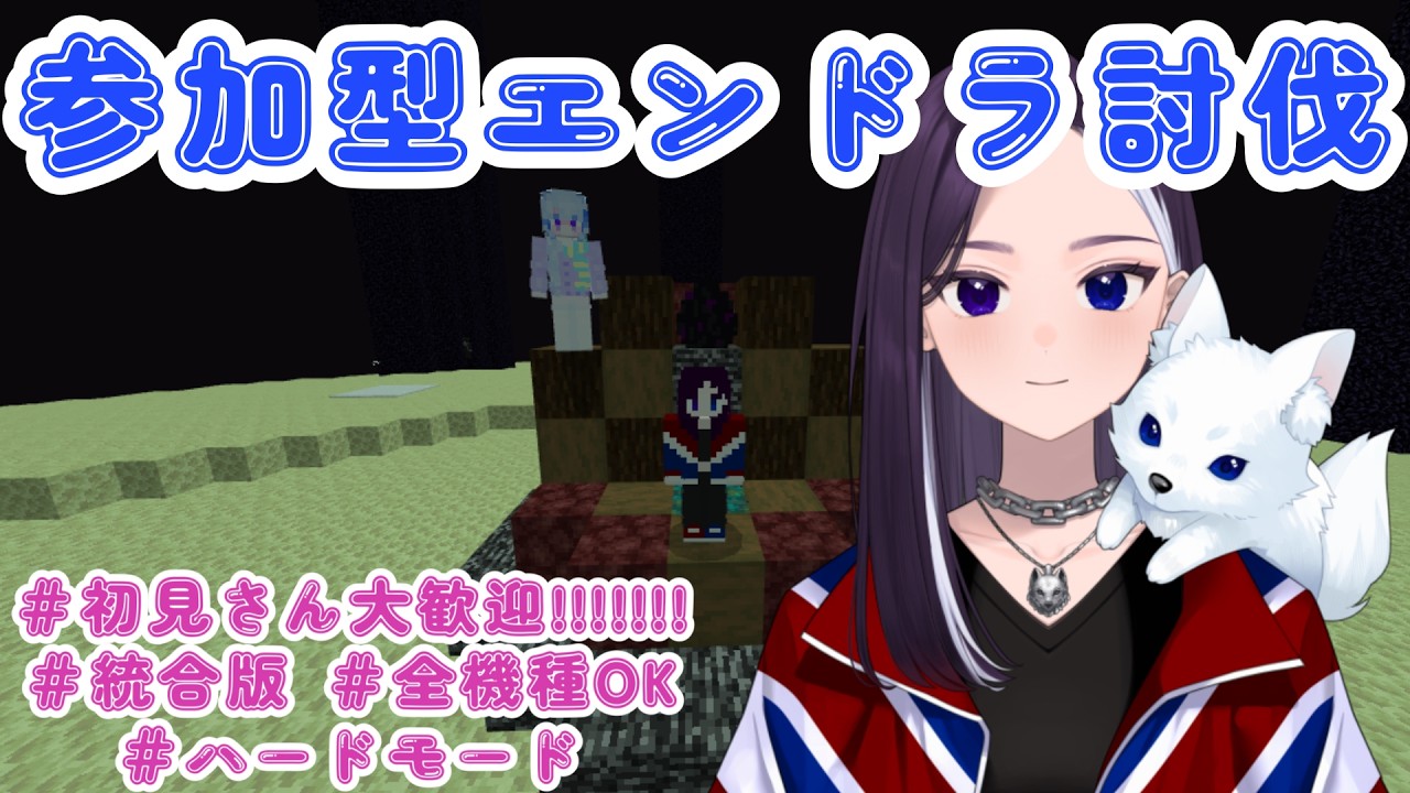 【参加型】おいみんな！エンドラ討伐しようぜ！！ #初見さん大歓迎  #マイクラ 【LiccaLin/#VTuber】