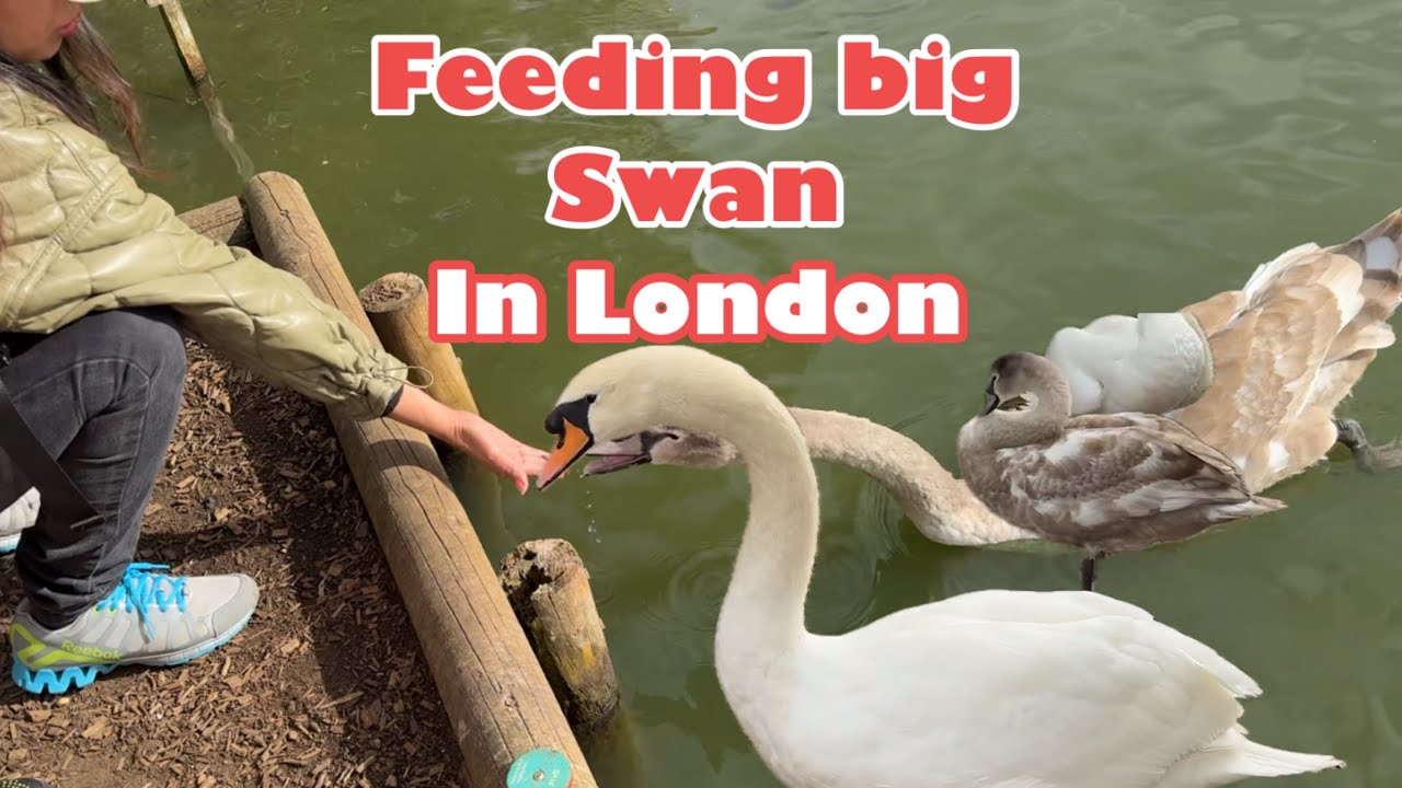 24)Sulitin ang bawat araw.moment ng mag sister.in London.