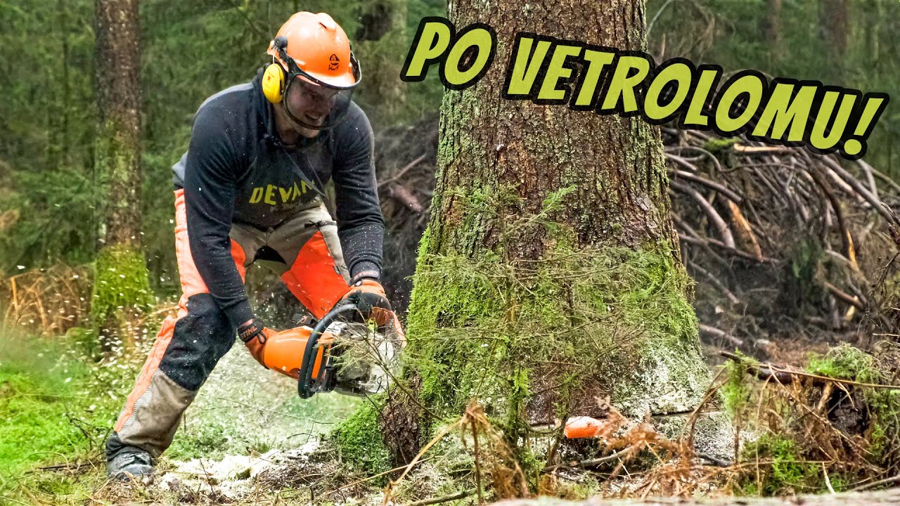Podiral sem drevesa in urejal gozd