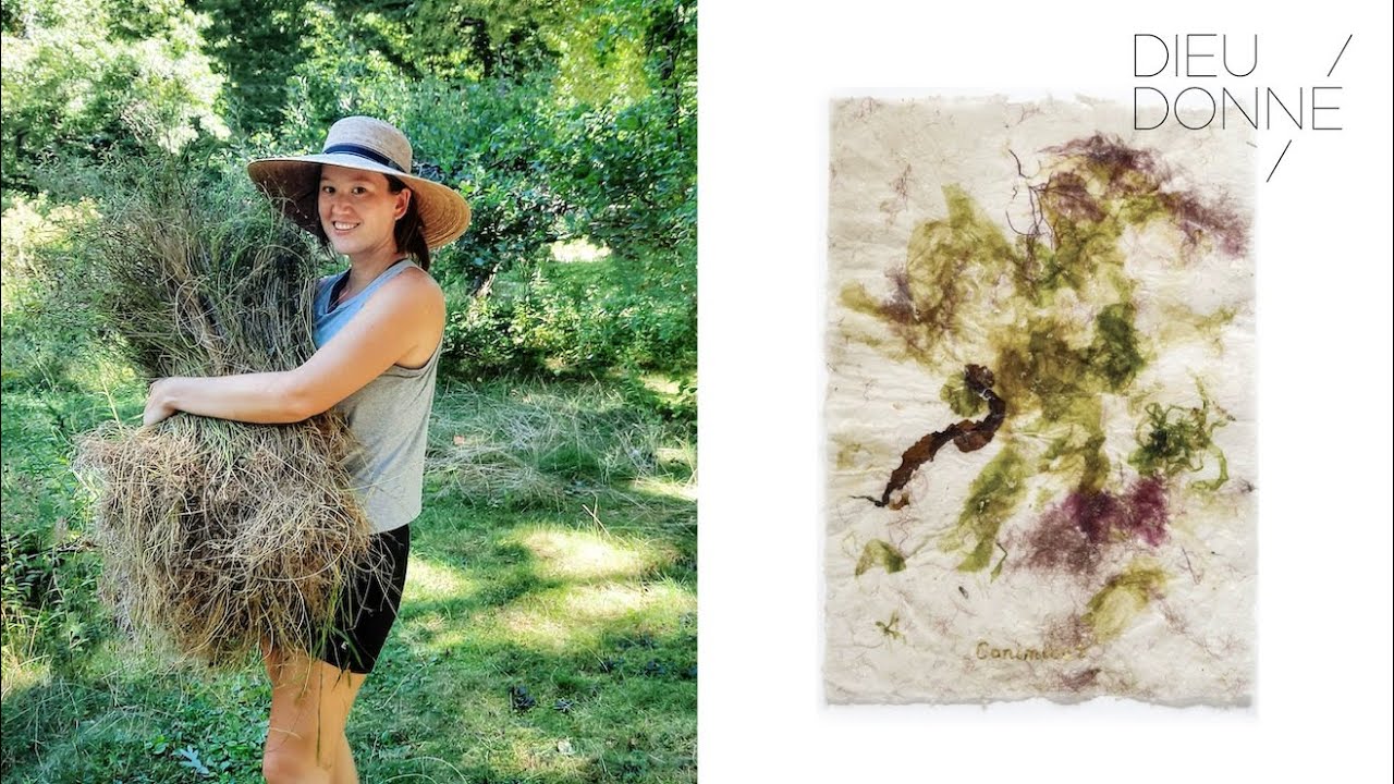 Paper, Plants, and Identity with May Babcock