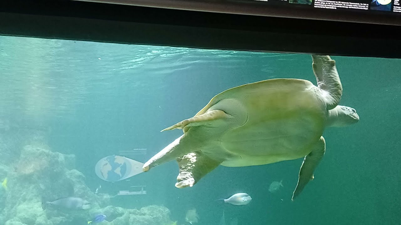 Aquarium Wilhelmshaven 