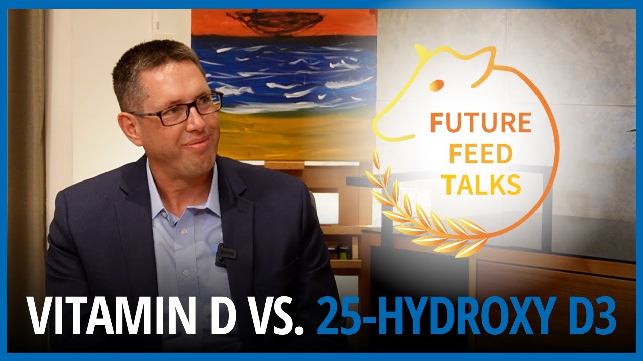 Maximize cow health: vitamin D vs. 25-hydroxy D3 supplementation