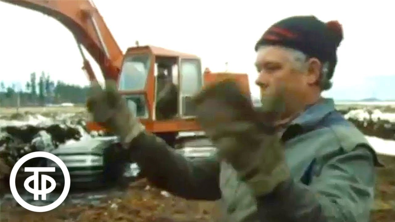 Город на Стрежне. Документальный фильм (1986)