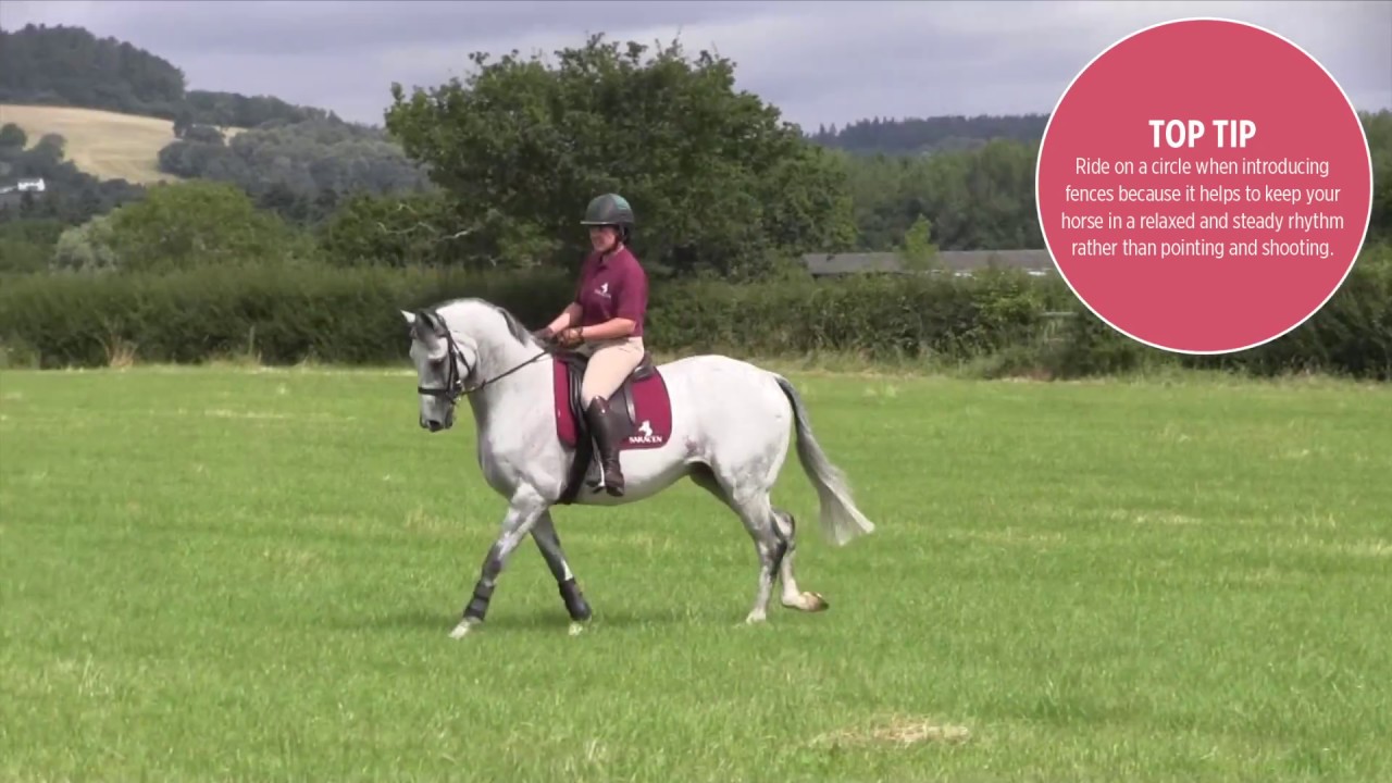 How to introduce your ex-racehorse to jumping | Horse&Rider