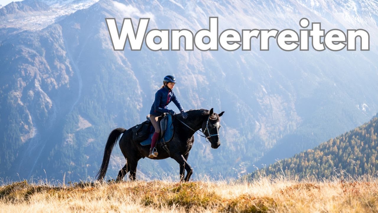 3 Tage Wanderreiten! #lillywillswissen