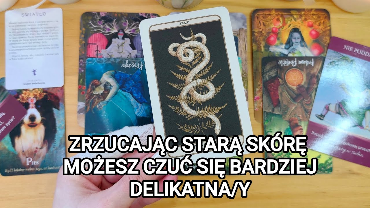 🍀🐍Ta wiadomość to znak, że wszystko stanie się jasne TAROT + ☀️ MEDYTACJA ROZŚWIETLAJĄCA ☀️