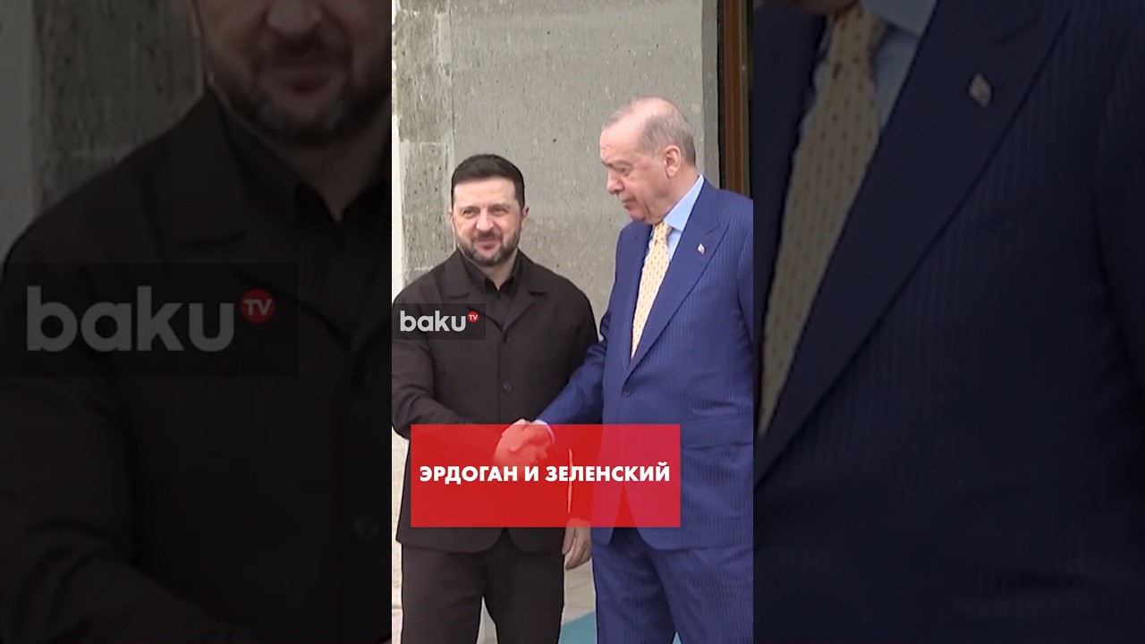 Эрдоган провел встречу с Зеленским