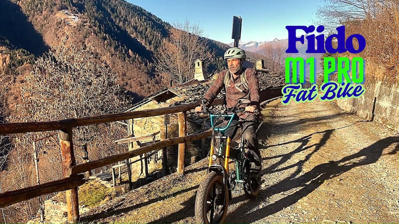 Presento la Fat Bike - Fiido M1 Pro