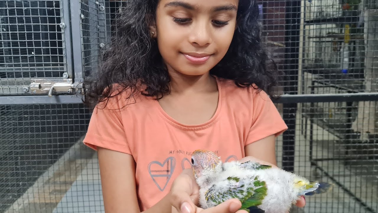 our aviary 🐦