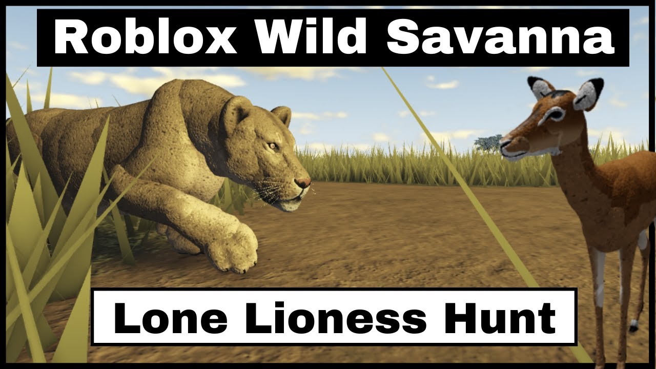 Roblox Wild Savanna - Lioness hunt