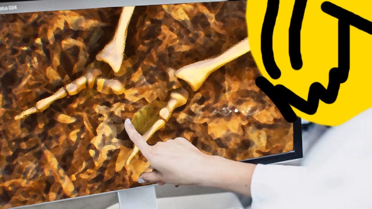 knife feet analysis