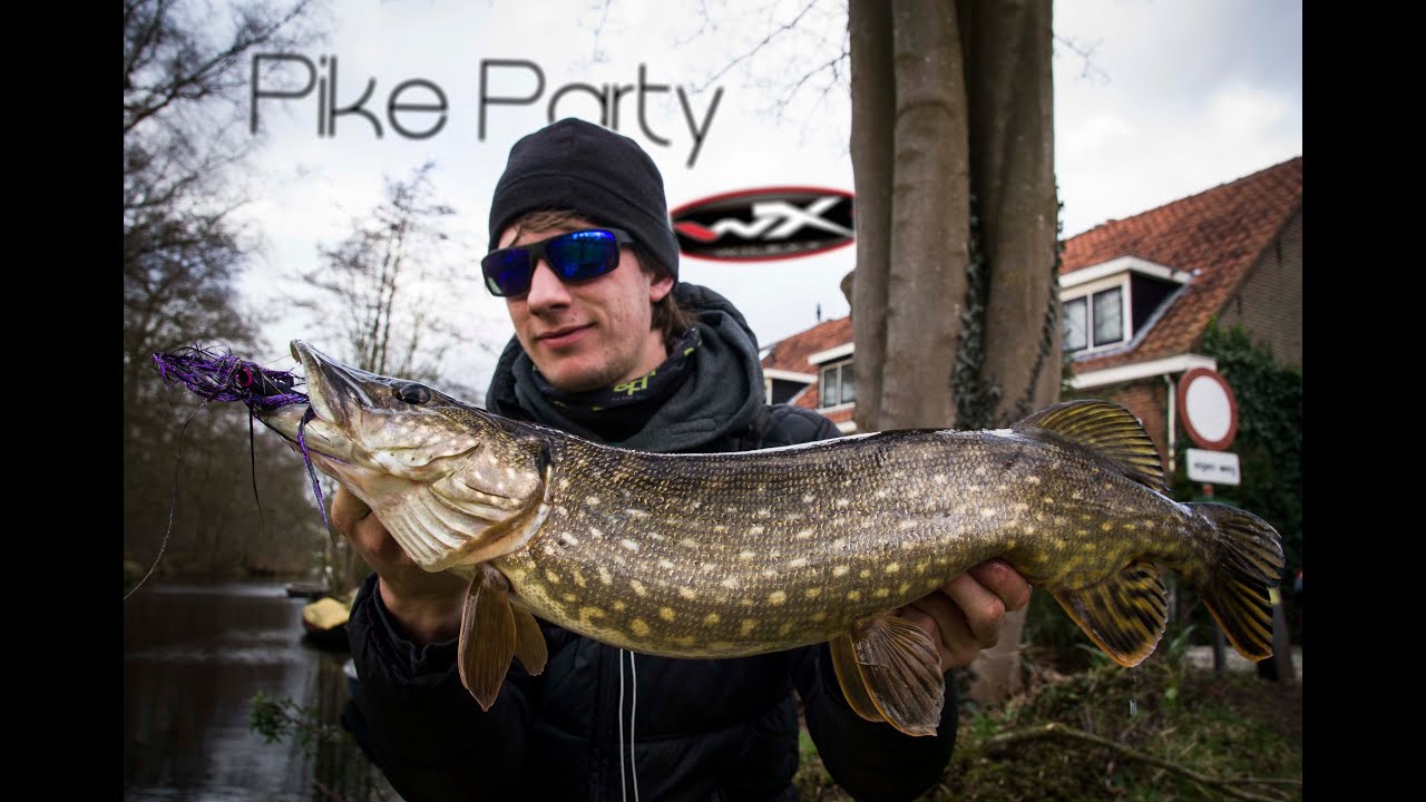 Polder Pike Party - Pike On The Fly