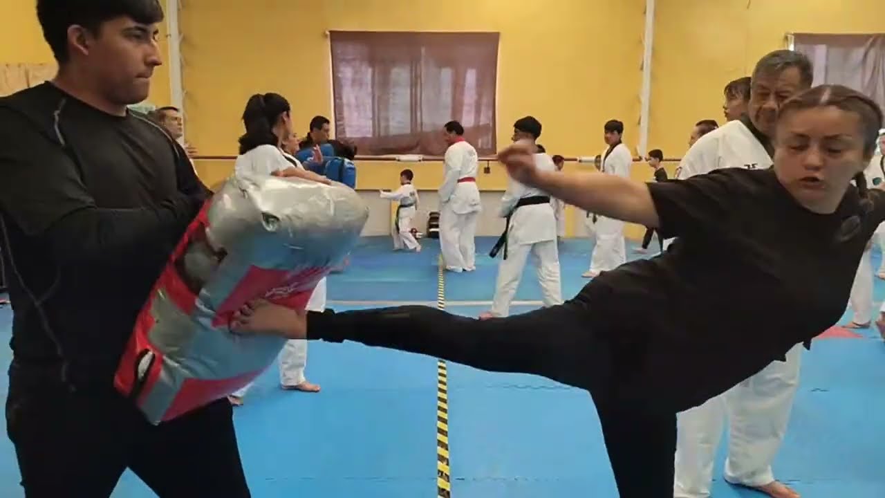 Seminario de Combate TKD con Enrique Torroella primer Medallista Olímpico de México