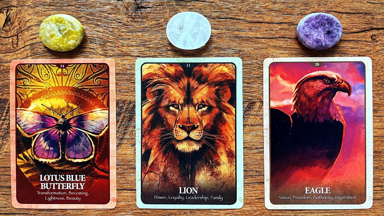 WHERE IS YOUR LIFE READY TO TAKE YOU NEXT? ✨🦋🌟 | Pick a Card Tarot Reading