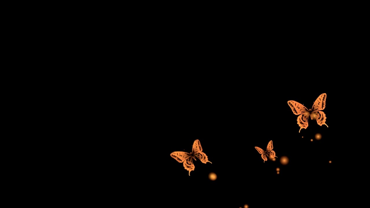 [paynecover] senritsu ~shirabe~