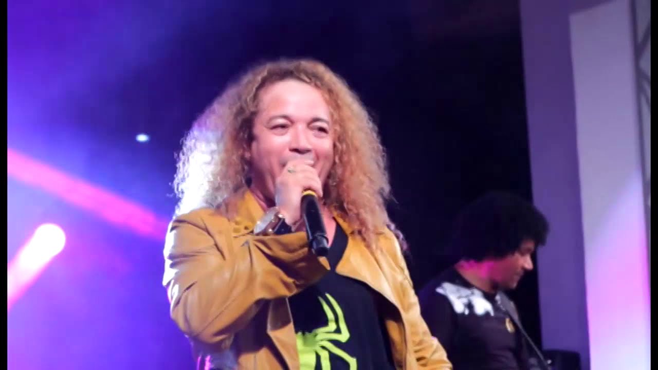WANDERLEY ANDRADE - SULTANS OF SWING (cover)
