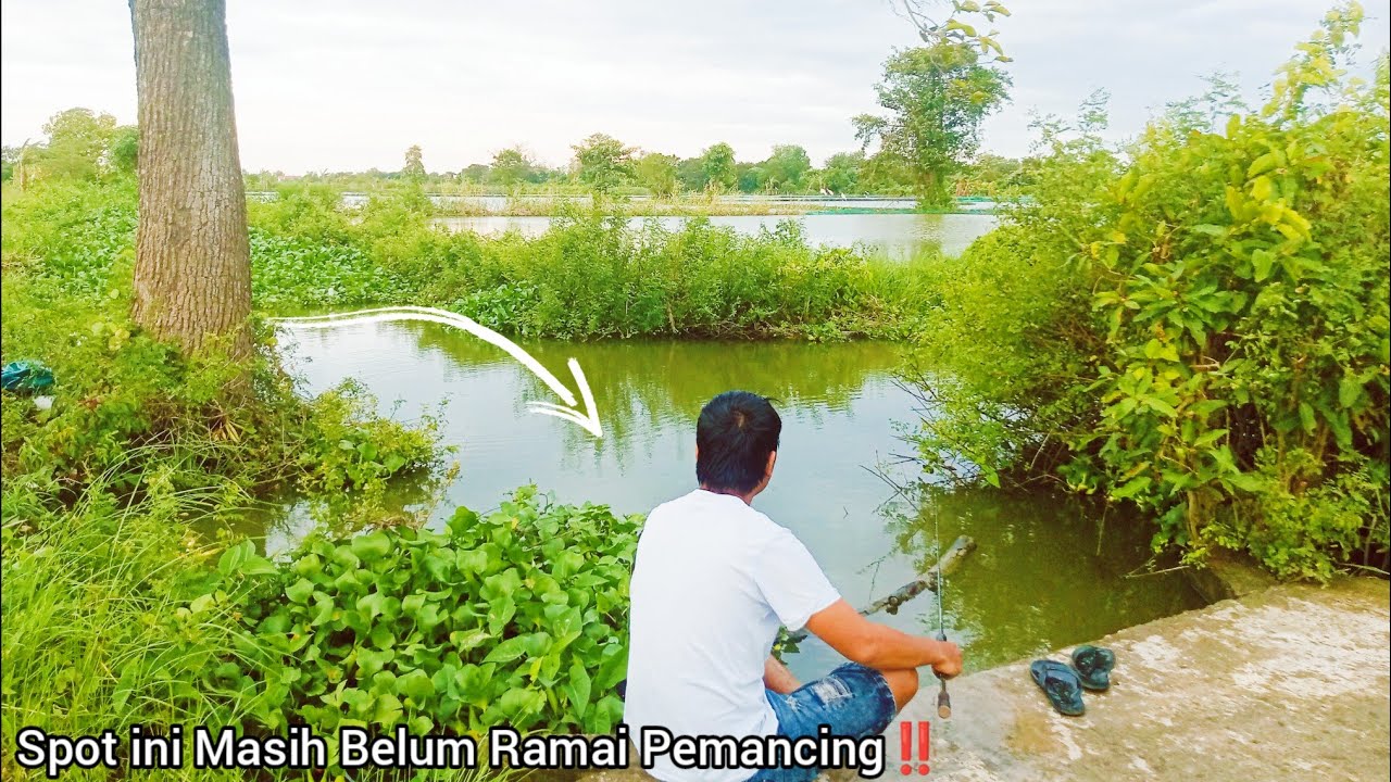 IKANNYA SEPERTI MENANTI KEHADIRAN SAYA DI SPOT SUNGAI BANJIRAN INI‼️