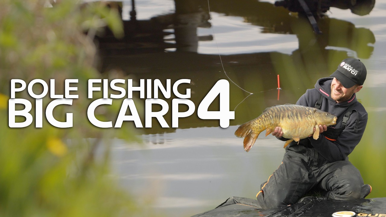Pole Fishing for BIG Carp.