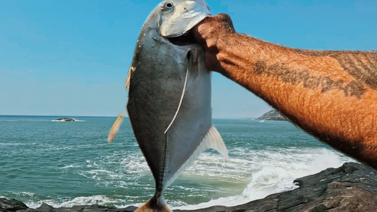 FISHING for trevally and mackerel / Shore casting jigs