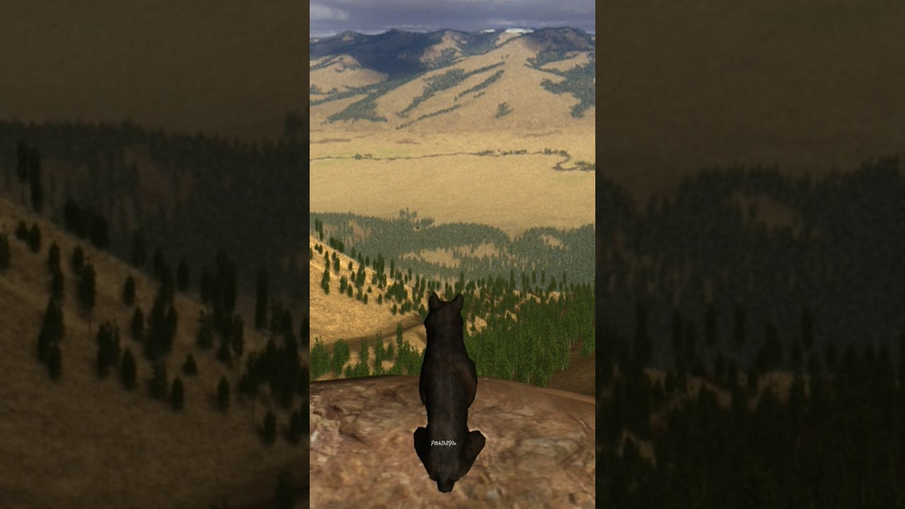 Classic to Anniversary #wolfquest #wolfquest3