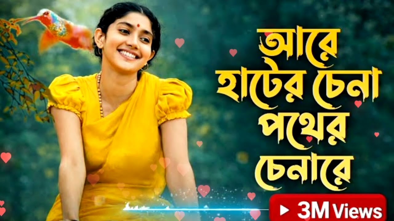 আরে হাটের চেনা পথের চেনারে | Are Hater Chena Pother Chena re | কেউ নাই সংস্যারের মাঝে রে | Tiktok Dj