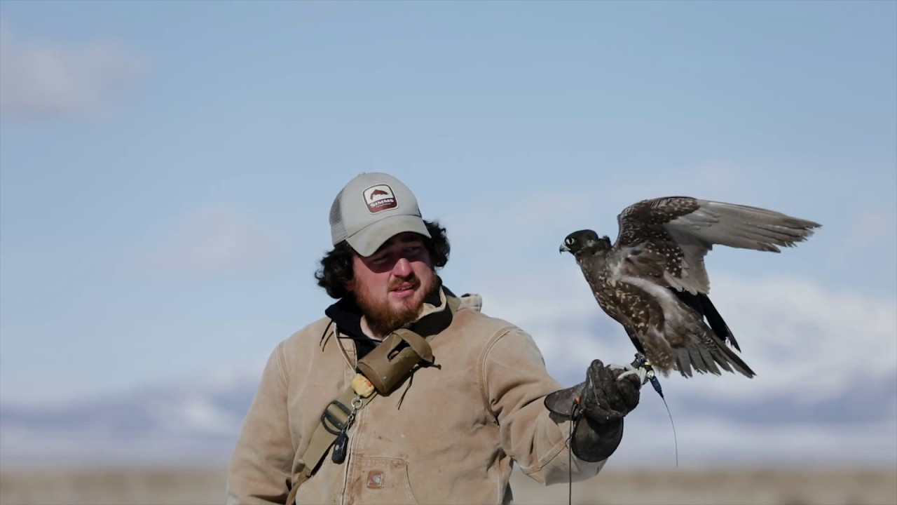 Utah Sky Trials Falconry Highlights