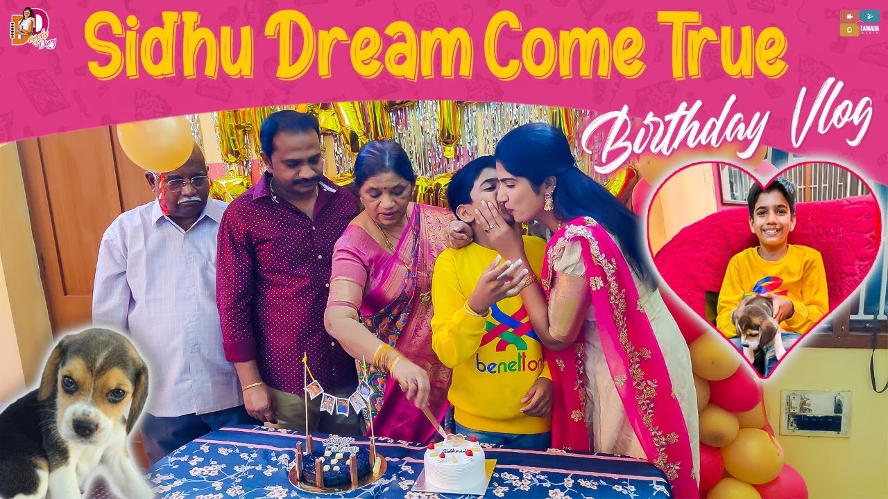 Sidhu Dream Come True Birthday Vlog || Birthday Celebrations || Deepti Nallamothu || Deepti's Diary