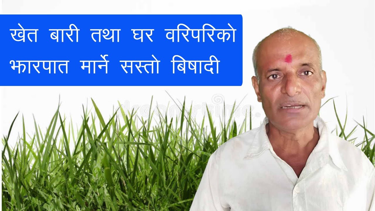 Jharpat marne bisadi || घर वरिपरि तथा खेतबारीको घाँस, झाडी मार्ने तरीका