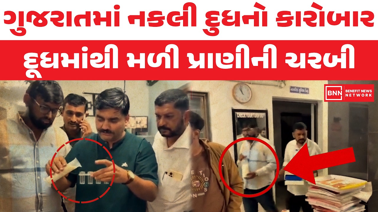 ગુજરાતમાં નકલી દુધનો કારોબાર,દૂધમાંથી મળી પ્રાણીની ચરબી | Benefit News 24