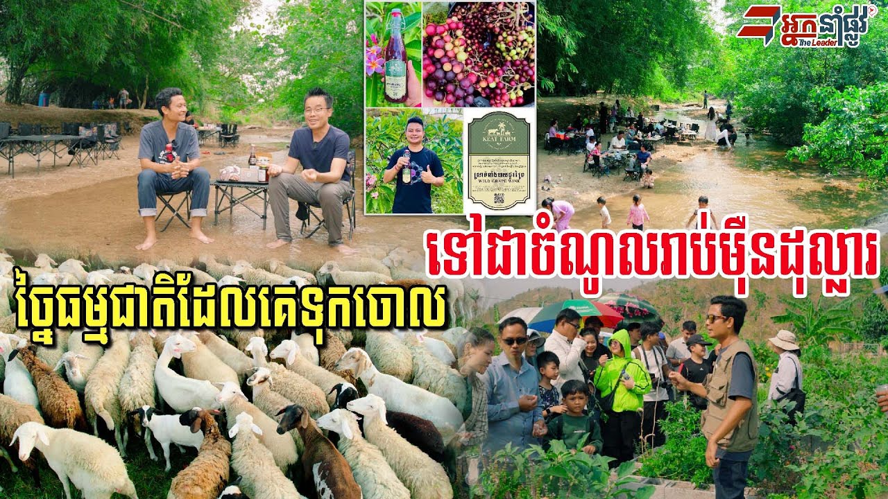 ច្នៃទំពាំងបាយជូរព្រៃធ្វើស្រា​ ចំណូលរាប់ម៉ឺនដុល្លារ និងលក់សំបុត្រទាញទេសចរណ៍មកលេង៦០០នាក់/ថ្ងៃ