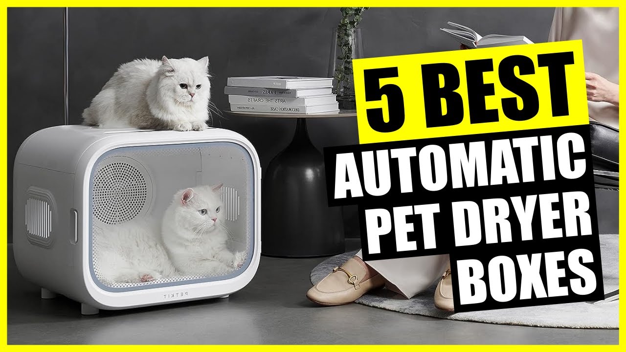 TOP 5: Best Automatic Pet Dryer Box 2024