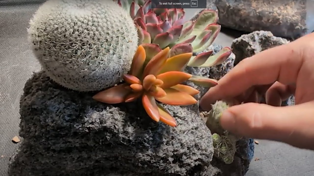 This Setup Is Crazy – You Have to See How It Works!