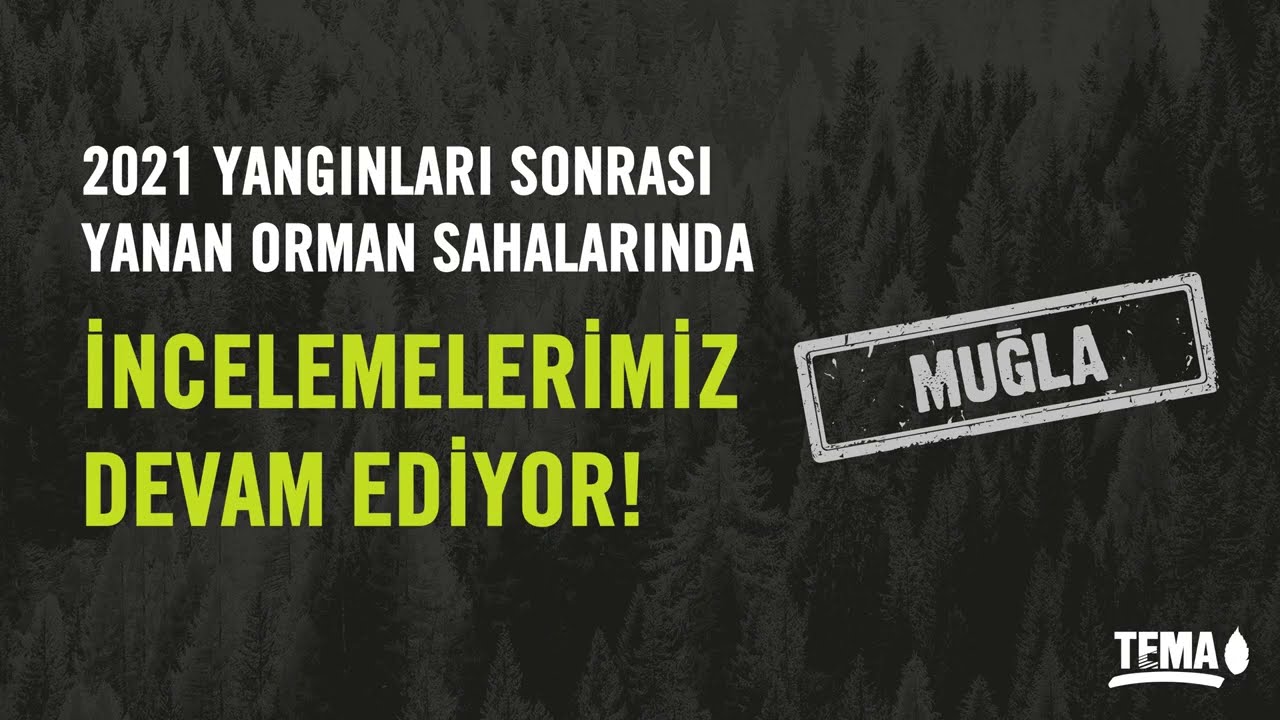 2021 Yangınları Sonrası Yanan Orman Sahalarında İncelemelerimiz Devam Ediyor! 📍 Muğla