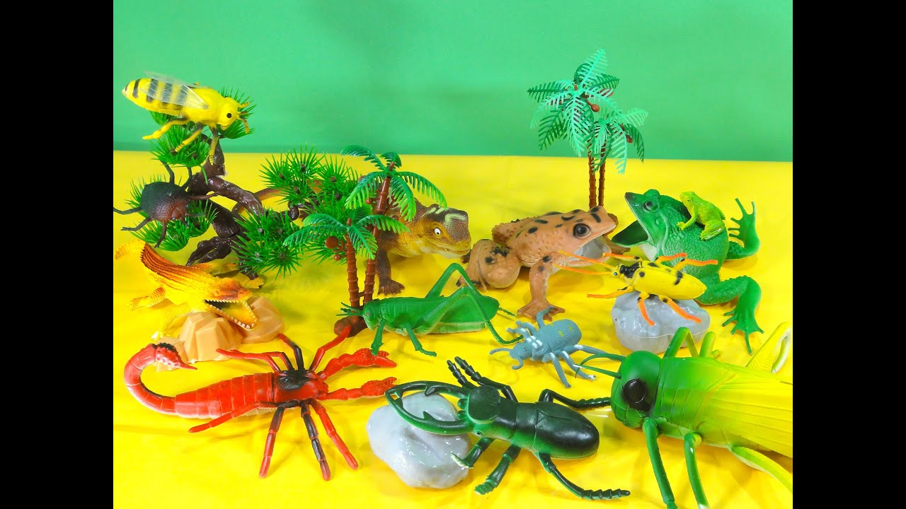 animal kingdom: 12 scary animals unboxing toys scorpion & grasshopper & bee & frog & bug