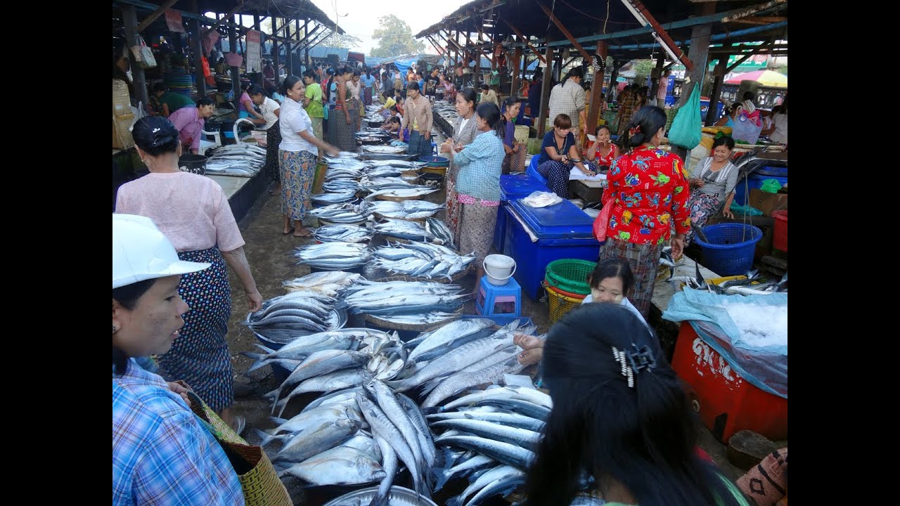Dawei morning market Myanmar ตลาดเช้าทวาย