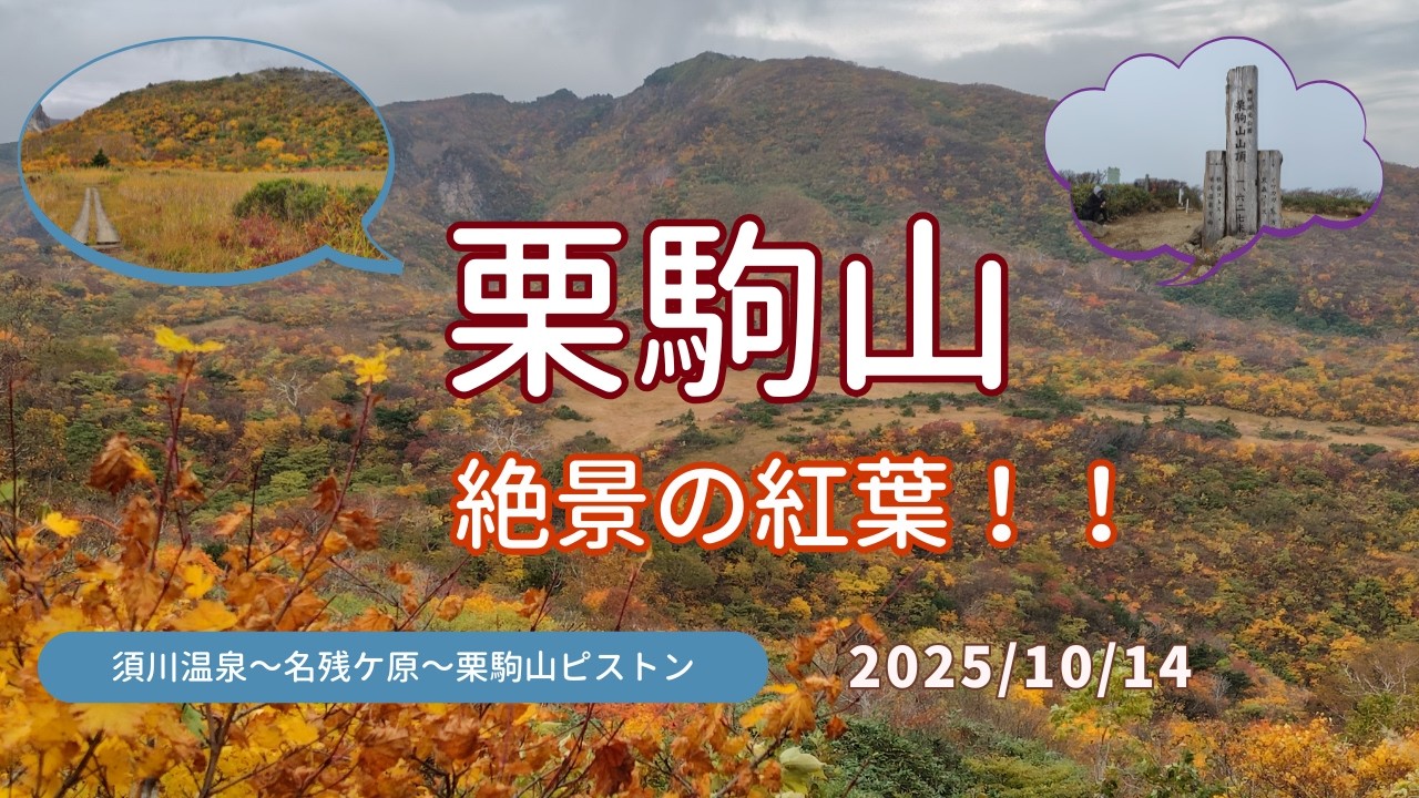 日本屈指の紅葉 栗駒山 日帰り登山　須川温泉♨～名残ケ原～栗駒山ピストン　絶景の紅葉に感動！！2025/10/14