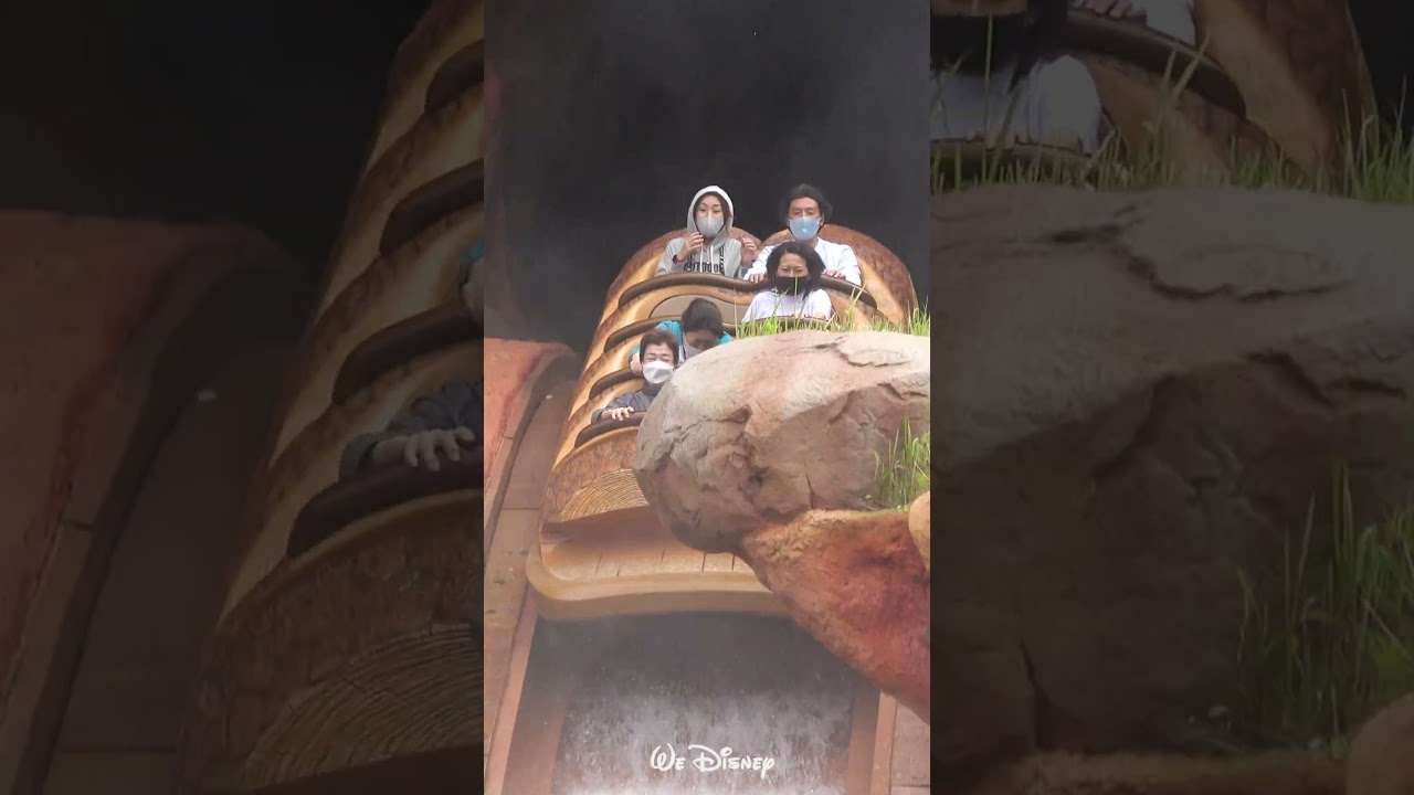 WeDisney｜東京ディズニーランド “ スプラッシュ・マウンテン ” その2｜Splash Mountain Vol.2｜2022.06.10｜SONY FDR-AX55｜#shorts