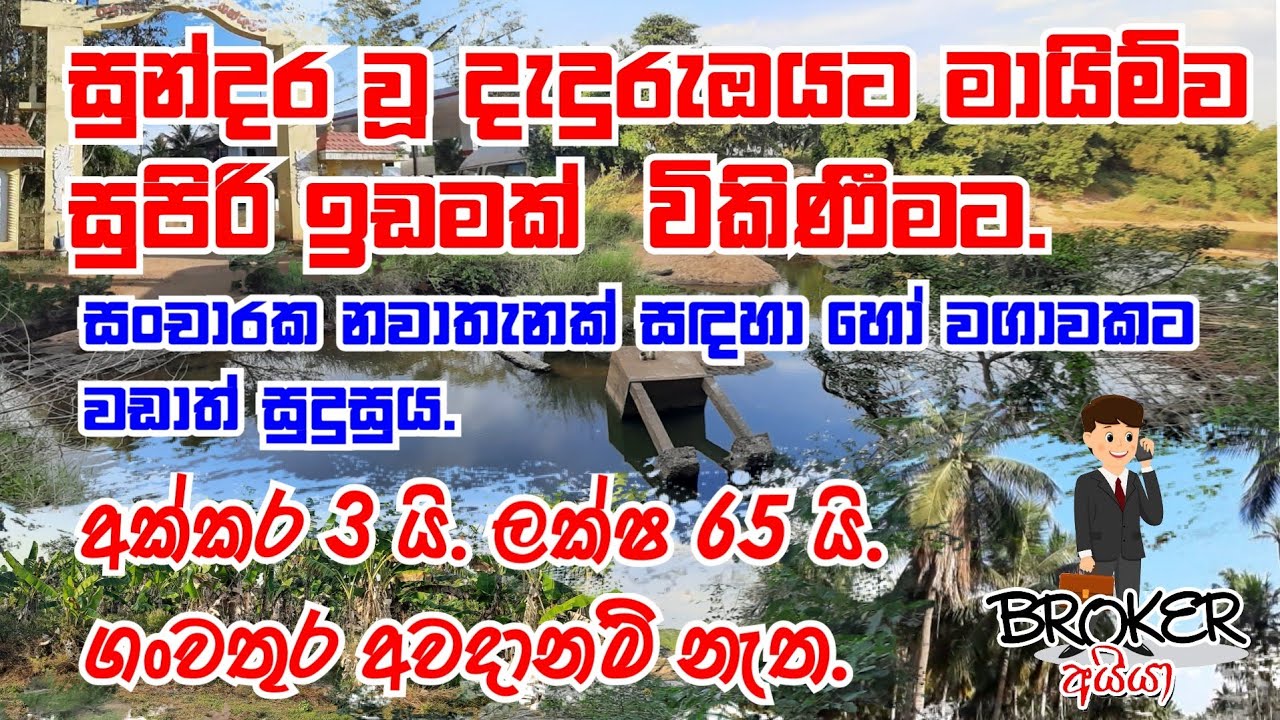 LAND FOR SALE IN PALLAMA/IDAM GEWAL/LAND SALE/LANKAWE IDAM/ LAND SALE IN SRILANKA/ WAGA IDAM