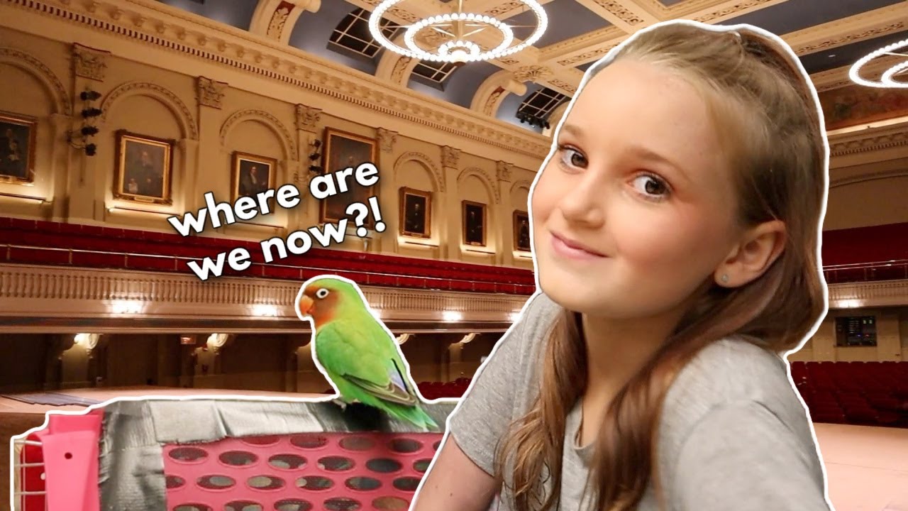 Traveling With My Small Birds!